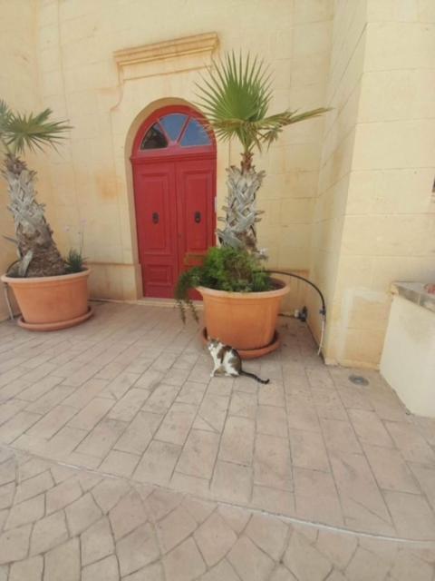 East Breeze Penthouse Apartment Mgarr Екстериор снимка